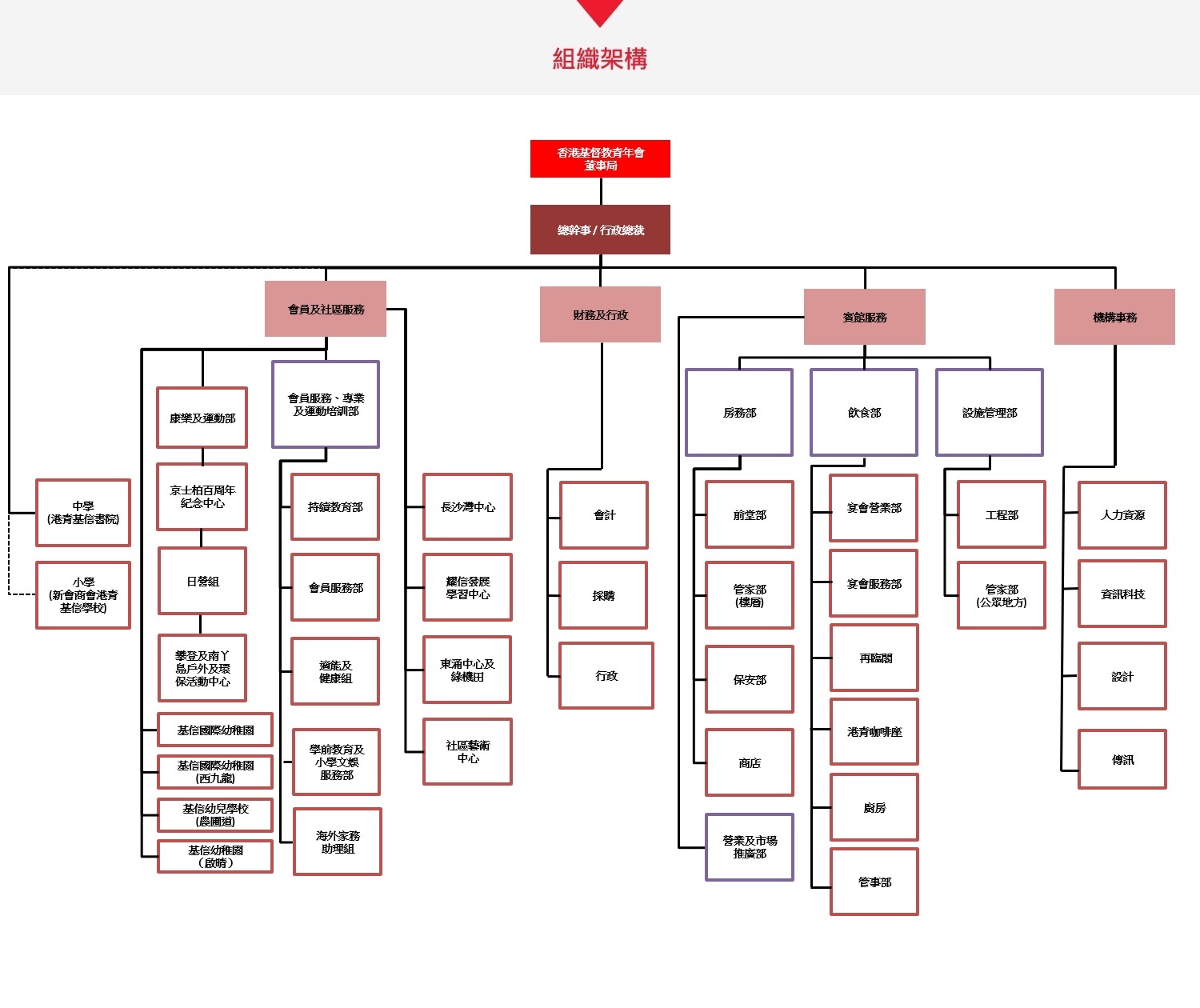 Mtr Organization Chart